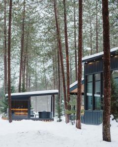 una casa moderna nel bosco nella neve di Brand New Black Fox Cabin with Private Nordic Spa a Sprucedale