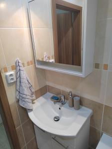 a bathroom with a white sink and a mirror at Byteček in Karlovy Vary +20 photos