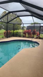 ein Schwimmbecken mit einem darüberliegenden Baldachin in der Unterkunft Broadmoor House 3br, 2ba, Wheated Pool, Sleeps 6 in Rotonda