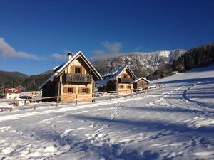 Feriendorf Lassing-Hochkar talvel