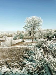 Příroda nedaleko prázdninového domu + 9 fotografií