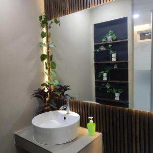 a bathroom with a sink and a shelf with potted plants at Casa Three Amigos in Santa Cruz Huatulco
