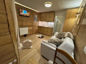 TV a/nebo společenská místnost v ubytování La clé dorée - Studio chalet départ télécabines