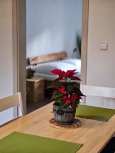 Postel nebo postele na pokoji v ubytování Apartmány Karolína - Kašperské Hory