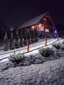 a cabin in the snow with christmas trees at Domek na górce in Duszniki Zdrój