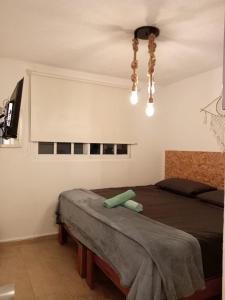a bedroom with a bed and a ceiling fan at Depto con PISCINA PUENTE DEL MAR ACAPULCO in Acapulco +55 photos