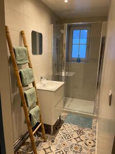 Un baño con lavabo y ducha en Appart de Manuela, en Saint-Malo