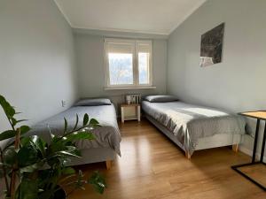 a bedroom with two beds and a potted plant at Apartament z widokiem na Spodek in Katowice +26 photos