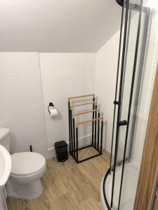 a small bathroom with a toilet and a shower at Lawendowo in Koniecpol +16 photos
