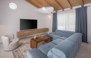 TV i/ili zabavni centar u objektu Villa Paulina
