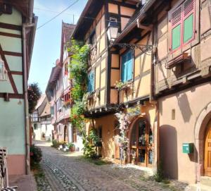 エギスハイムにあるGîte de charme sur les rempartsの旧市街の路地