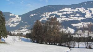 Paesaggio naturale nelle vicinanze dell'appartamento