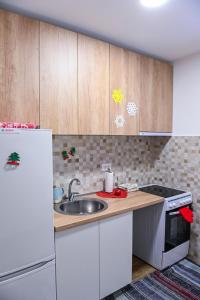 Η κουζίνα ή μικρή κουζίνα στο Guest House Šišarka
