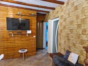 a living room with a television on a wooden wall at Casa Ada in Arpaşu de Sus
