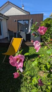 Κήπος έξω από το Jupiter Tiny House