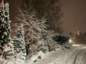 eine Reihe von Bäumen, die nachts mit Schnee bedeckt sind in der Unterkunft Hollhouse - Bed & Breakfast in Hinterzarten + 66 Fotos