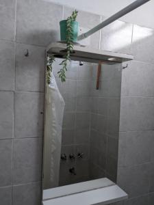 a bathroom with a shower with a mirror and a plant at Apartamento Paracao in Paraná