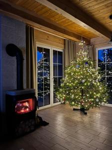 Kamienica KrólewskaU Marcjana的客厅里有一棵带壁炉的圣诞树