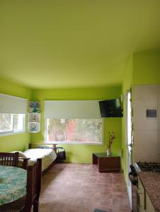 ein Schlafzimmer mit grünen Wänden, einem Bett und einem Tisch in der Unterkunft Quetrihue Mar de las Pampas in Mar de las Pampas