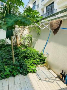 Zahrada ubytování Thong Dong Homestay