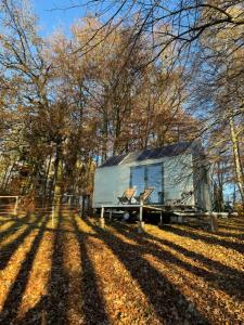 una piccola casa su una roulotte nel bosco di Wonderful Tiny house Hootka with fabulous view near Semily a Bystrá nad Jizerou