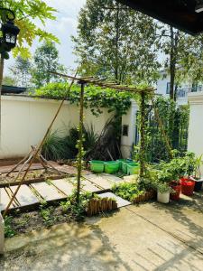 Zahrada ubytování Thong Dong Homestay