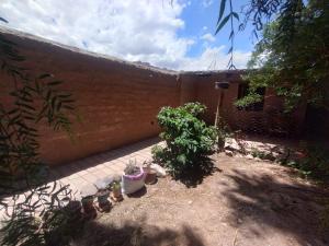 un patio con macetas junto a una pared de ladrillo en La Clementina, en Tilcara