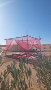 Gallery image of Desert camp in Merzouga +28 photos