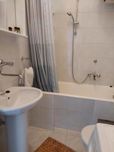 a bathroom with a sink and a shower and a toilet at Apartments with parking space Postira, Brac - 700 in Postira