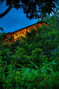 Κήπος έξω από το Luxurious cabaña Los Faroles