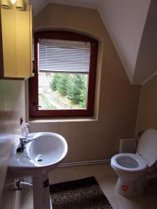 a bathroom with a sink and a toilet and a window at Casa de Piatra in Strungari +40 photos