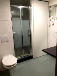 Koupelna v ubytování Petit loft entre Strasbourg et campagne