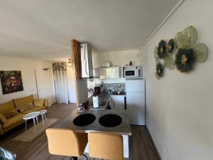 Kuchyň nebo kuchyňský kout v ubytování Studio de charme au Gosier