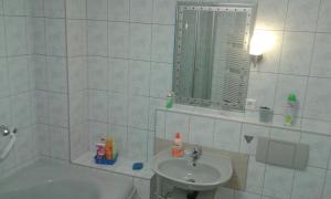 Koupelna v ubytování Ferienwohnung Vikolisa + 25 fotografií