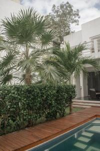 a pool with two palm trees next to a building at Tulum Casa Xul in Tulum