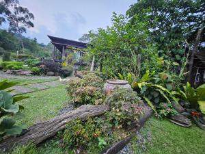 Gallery image of Juan's Place in Santa Maria