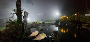 Gallery image of Juan's Place in Santa Maria +89 photos