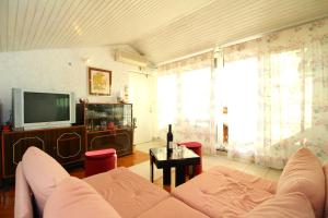 een woonkamer met een bank en een tv bij Apartment Ruža 2021 in Premantura