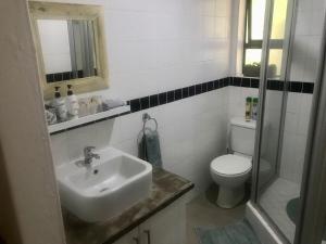 a bathroom with a sink and a toilet at Satu's Inn-Bloem - Ferienwohnung in Bloemfontein +15 photos