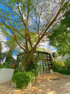 ein großer Baum vor einem Gebäude in der Unterkunft La Bella Residences Tagaytay in Tagaytay