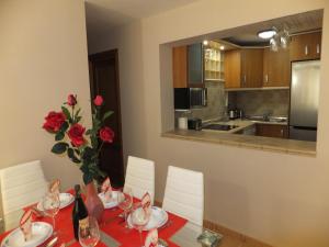 Kuchyňa alebo kuchynka v ubytovaní Apartamento Bahia Dorada