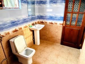 une salle de bain avec toilettes et lavabo dans l'établissement Villa Seyon, à Galle