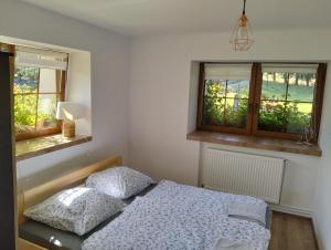 a bedroom with a bed and two windows at Noclegi i sauna w starym domu in Pławnica