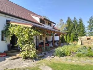 a house with a pergola and a garden at Noclegi i sauna w starym domu in Pławnica