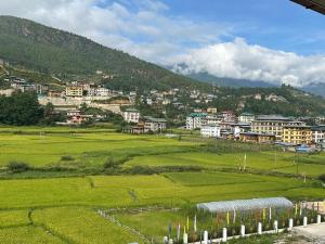 a green field with a city in the background at Green valley boutique in Paro