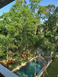 an aerial view of a swimming pool in a garden at Shaka Villa in Dickwella