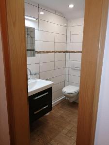 a bathroom with a sink and a toilet at Haus-Anita in Grän