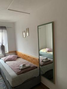 a mirror in a bedroom with two beds at ZV-Scholtz Gästehaus Eisenfelden in Winhöring