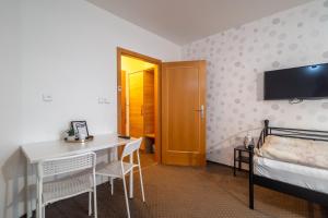TV a/nebo společenská místnost v ubytování Hotel Garni Orlova + 36 fotografií