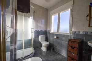 une salle de bain avec toilettes, douche et lavabo dans l'établissement AT Las Viñuelas 17, à Burgohondo